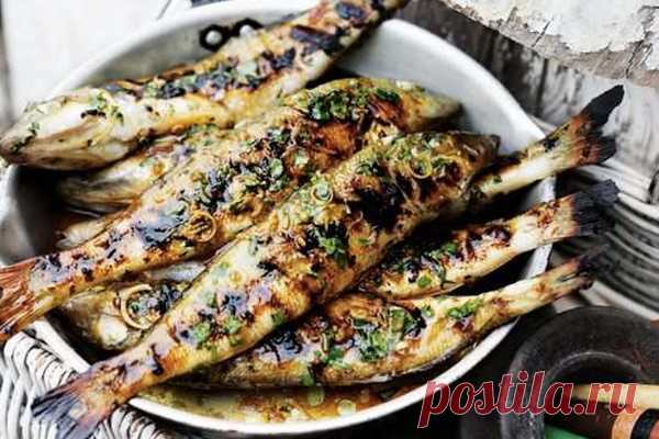7 потрясающе вкусных блюд из сардин 
            В вопросе выбора между сортами рыбы преимущество всегда остается за теми, что на слуху. Все «лавры славы» обычно достаются семейству карповых, лососевых, тресковых. Между тем в их тени ч…