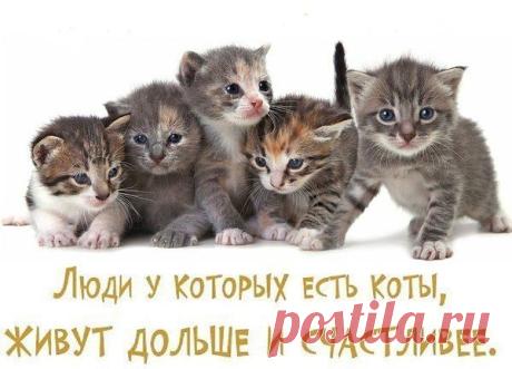 Интересные новости
