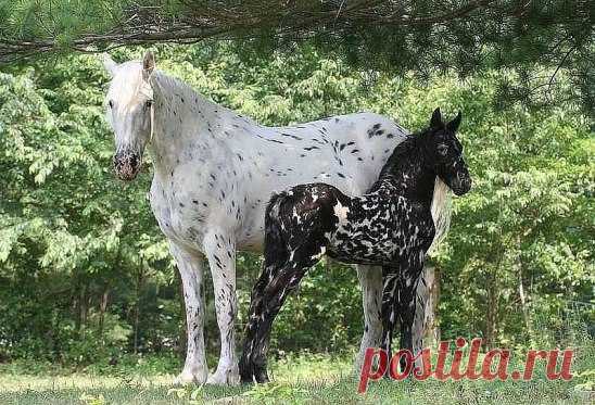 (73) Одноклассники