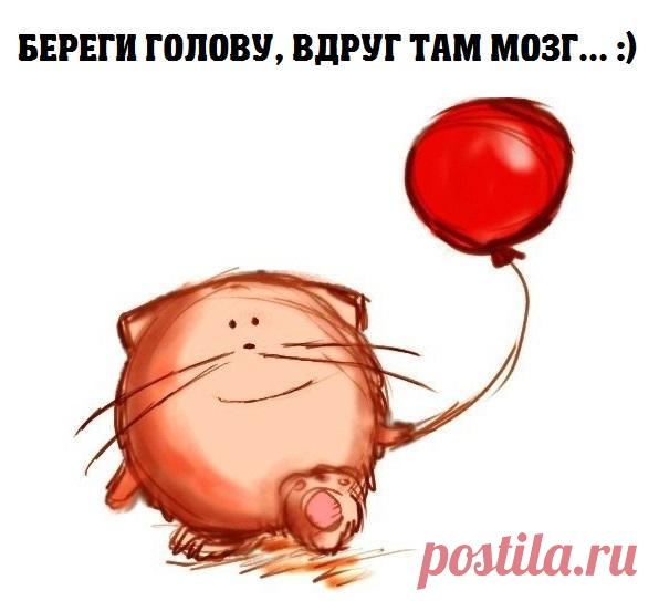 • В Тренде • — только лучшее!