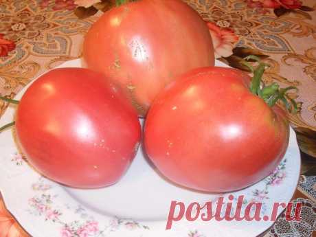 разнообразие Мазарини