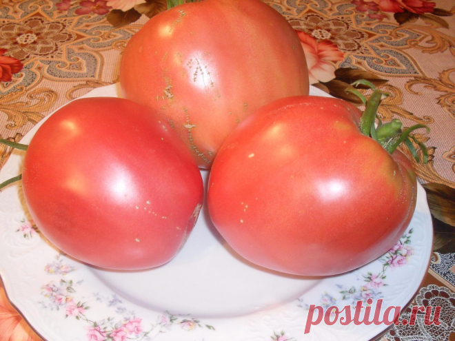 разнообразие Мазарини