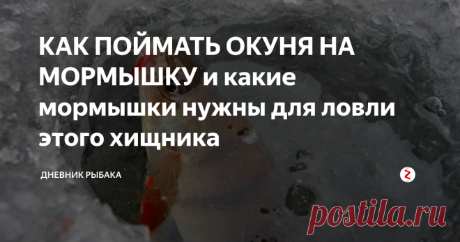 КАК ПОЙМАТЬ ОКУНЯ НА МОРМЫШКУ и какие мормышки нужны для ловли этого хищника Как поймать окуня на мормышку
Многие люди с нетерпением ждут зимы, чтоб полезно провести время на рыбалке. Ловля окуня зимой на мормышку приносит море положительных эмоций. Некоторые рыбаки охотятся за мелкими рыбёшками, другие же отправляются на поиск крупных трофеев. В арсенале всех мормышечников имеются похожие снасти, но конечный результат (улов) будет зависеть от вида мормышки и техники прово