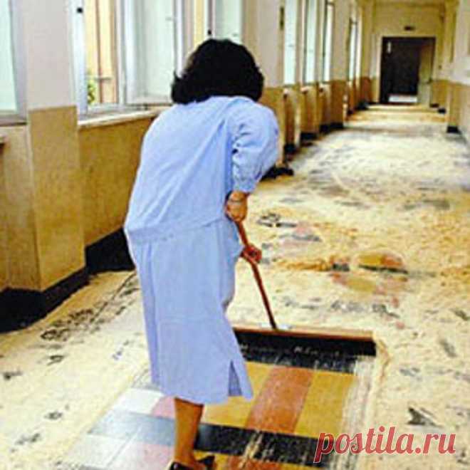 Для студентов она была просто уборщицей. Но слова профессора открыли им правду!