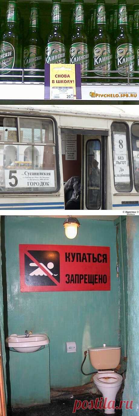 Прикольные картинки с надписями — jancel.ru