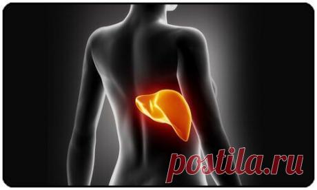 Очистіть печінку, щоб скинути зайву вагу – Моє здоров'я