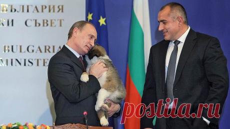 Ъ-Фото - Подарки для президента