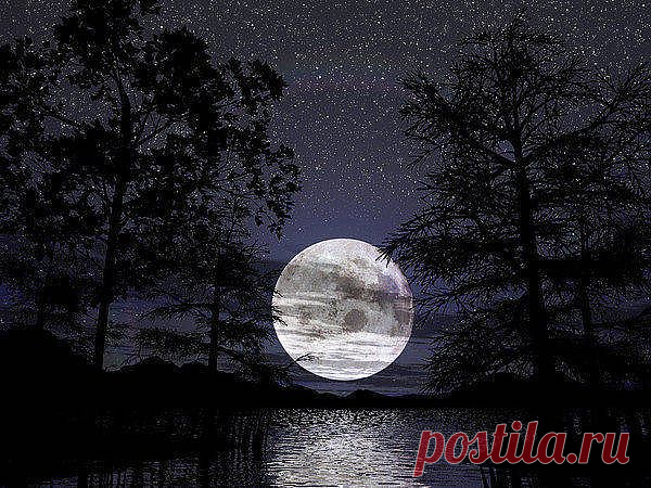 При лунном свете...