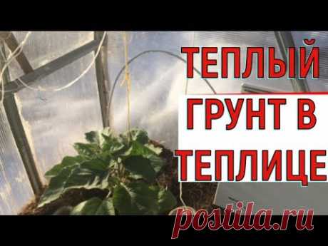 Теплые грядки  Прогреваем грунт в теплице - YouTube