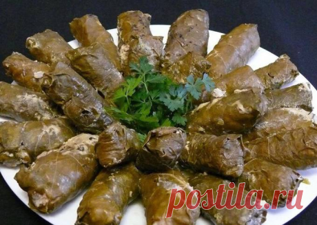 Готовим настоящую грузинскую долму | Кафе Хачапури | Дзен