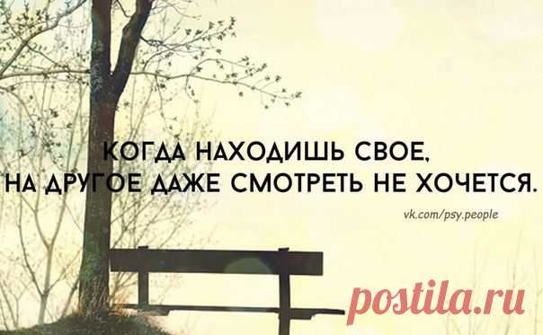 Фотографии на стене сообщества | 32 810 фотографий | ВКонтакте