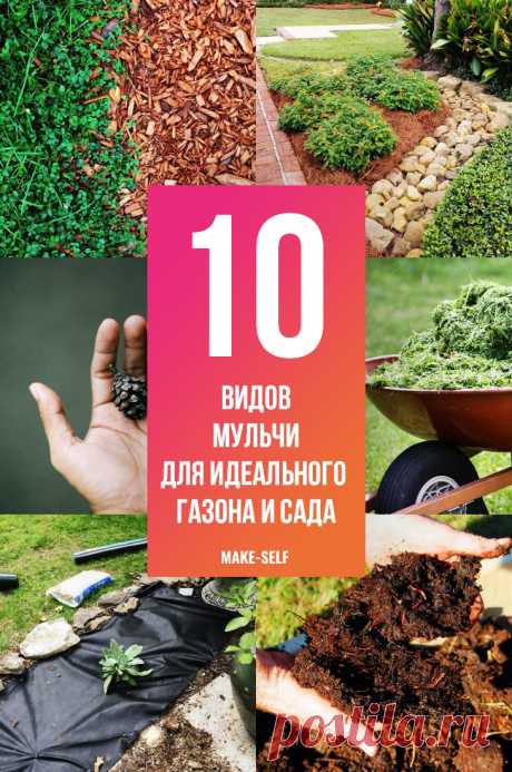 Мульча для идеального газона и сада / Домоседы