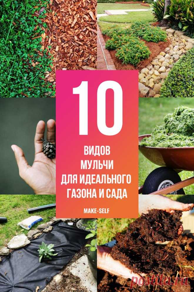 Мульча для идеального газона и сада / Домоседы