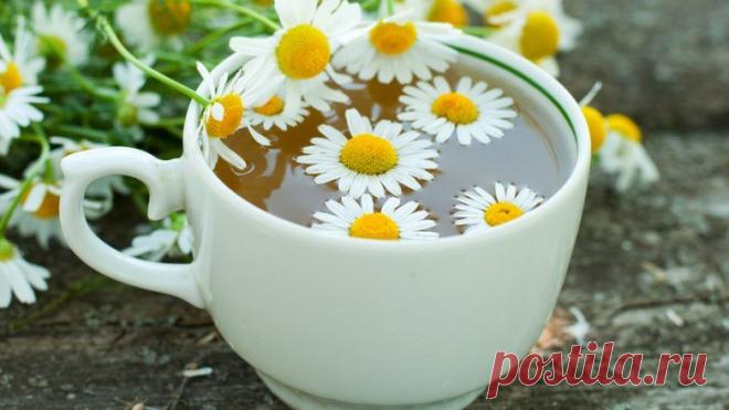 Напиток, способный предотвратить рак / Будьте здоровы