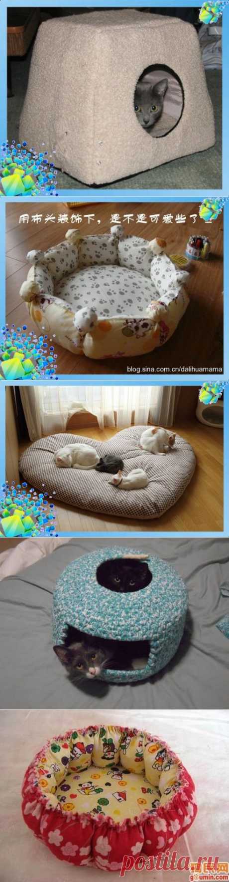 КОШАЧЬИ ЛЕЖАНКИ,ТАКИЕ РАЗНЫЕ....часть 1