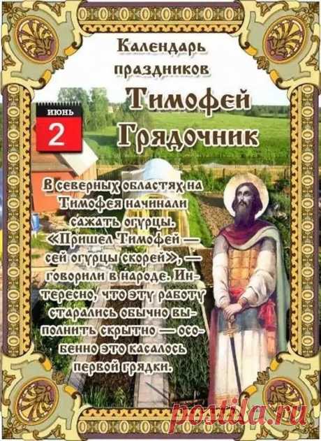 Здоровья крепкого и сил
Желаю Вам от всей души.
Успех чтоб в гости заходил,
Чтоб дни все были хороши.
