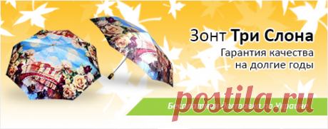 Купить зонт в интернет-магазине MoySon