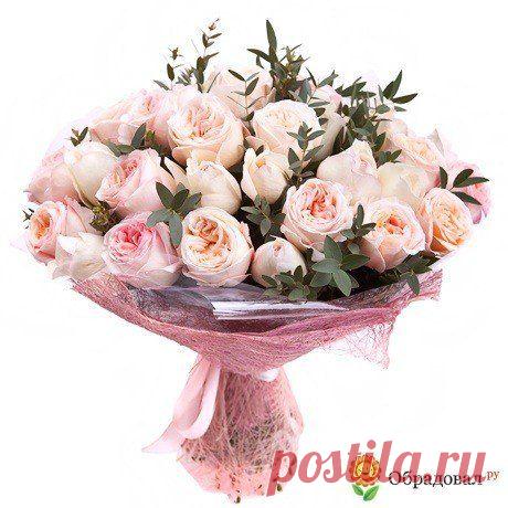 Фотографии на стене сообщества | 32 769 фотографий | ВКонтакте