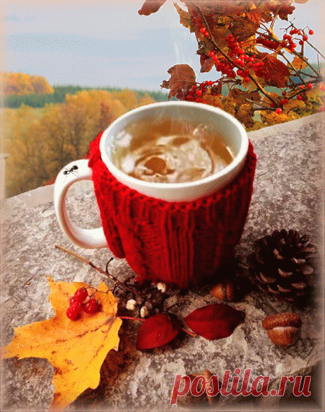 0_178ae1_934d787_orig (600×761)