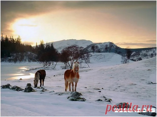 Шотландия - Google+
