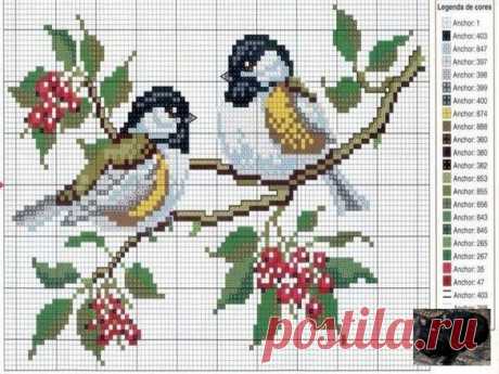 Gallery.ru / Фото #47 - Птицы на 1 листе - berbera53