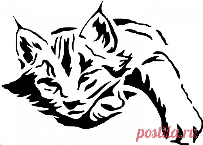 Рисунки и эскизы для выжигания по дереву. Животные | Из дерева своими руками! Интересные деревянные поделки, мебель, мастер-классы по дереву