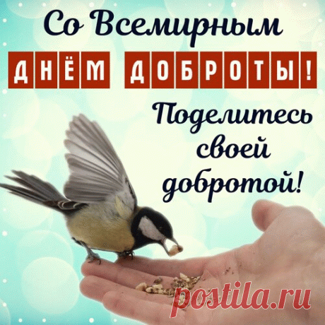 Желаю в День всемирный доброты
Свои ладони к солнцу протянуть,
Наполнить сердце лаской и теплом
И счастье в полной мере почерпнуть.