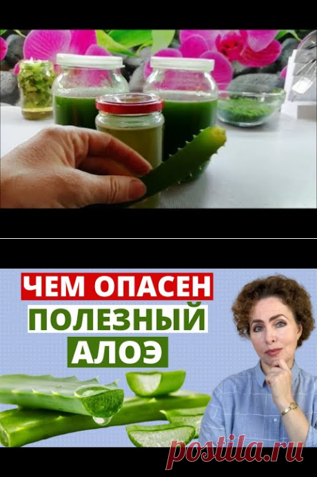 Алоэ// Эликсир молодости Рецепт моей бабушки "Витаминная бомба" - YouTube