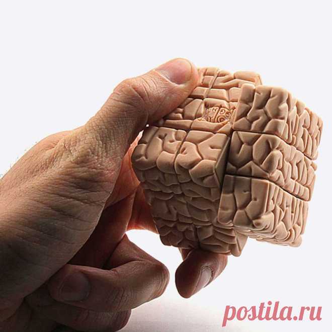Что любит и что НЕ любит наш мозг