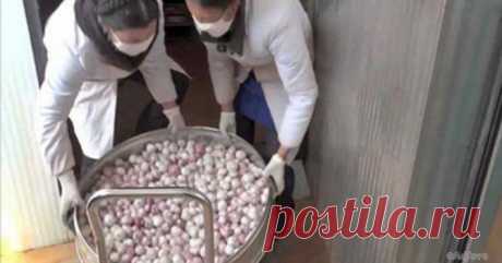 7 продуктов из китая которые нельзя есть даже под дулом пистолета 
С каждым годом объем экспорта продуктов питания из Китая растет. Мы подготовили список самых опасных товаров. Вот на какие продукты стоит обращать особое внимание!

Вредные продукты из Китая
1. Чесно…