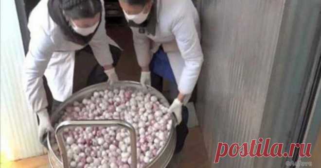 7 продуктов из китая которые нельзя есть даже под дулом пистолета 
С каждым годом объем экспорта продуктов питания из Китая растет. Мы подготовили список самых опасных товаров. Вот на какие продукты стоит обращать особое внимание!

Вредные продукты из Китая
1. Чесно…