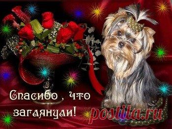 Открытки спасибо за ... дружбу, доброе сердце, поздравления - cтраница 7