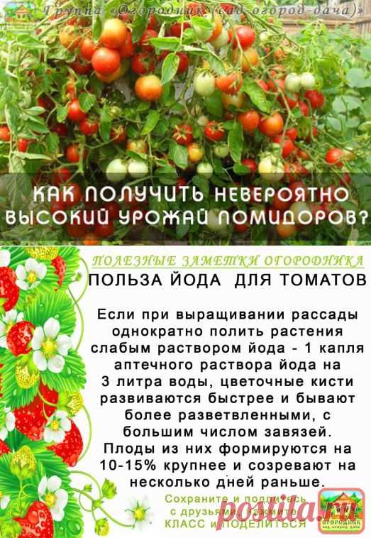 (61) Одноклассники