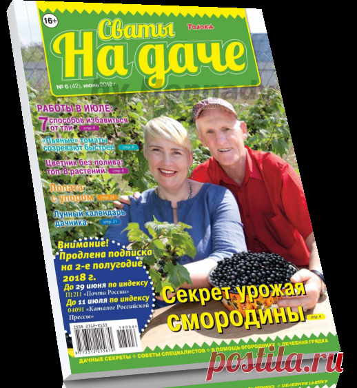 Читать журнал Сваты на даче №6 2018 бесплатно.