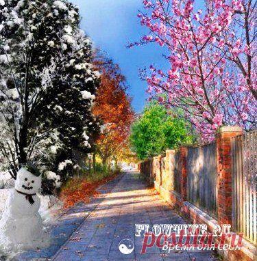 Люди по 32 временам года Издревле известно, что люди родившиеся в ту или иную пору года, отличаются некоторыми особенностями. Есть традиционное деление на двенадцать частей (Зодиак). В системе "Таро ключ к астрологии" солнечный год разделен на тридцать две неравных части. Деление на 32 части дает более лаконичный и точный ответ на вопрос: какими особыми качествами может обладать тот или иной человек в зависимости от того в какое из 32 времен года он родился.