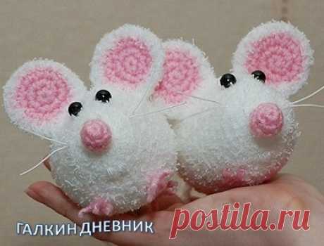 МЫШКИ МАЛЫШКИ