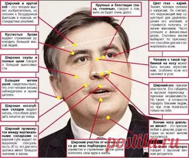 физиогномика лица в картинках обучение: 14 тыс изображений найдено в Яндекс.Картинках