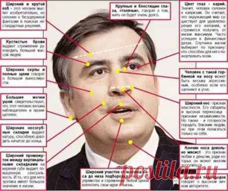 физиогномика лица в картинках обучение: 14 тыс изображений найдено в Яндекс.Картинках
