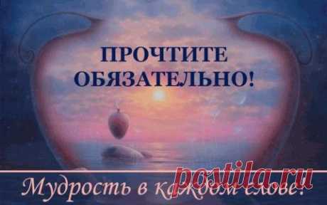 Мудрость в каждом слове!