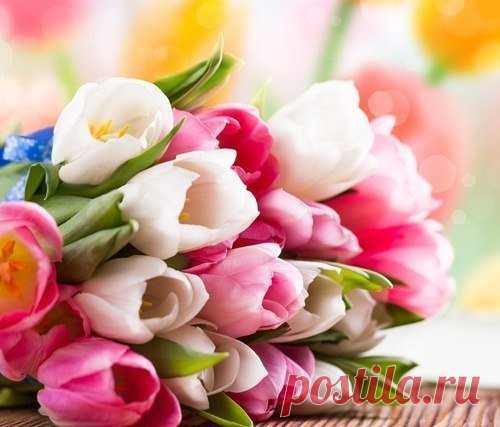 Вера Омельянович