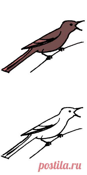 Как нарисовать птицу - Поделки с детьми | Деткиподелки