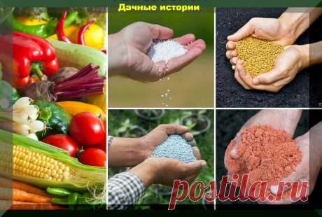 Необходимые удобрения для растений и способы получения удобрений из кухонных отходов | Дачные истории | Яндекс Дзен