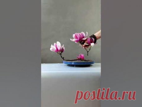 仙子着云裳，轻匀淡淡妆。#flowerarrangement #flowermaking #flowers