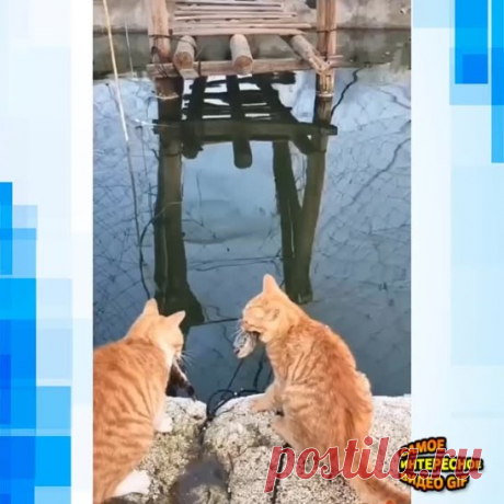 Трио.