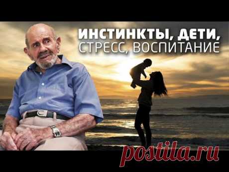 Жак Фреско о воспитании детей, стресс, инстинкты - YouTube