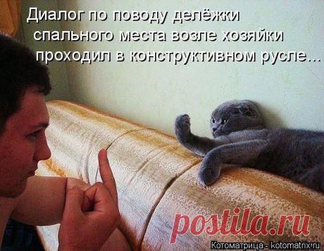 シシシПРИКОЛьнисьシシシ
Сергей Никитин