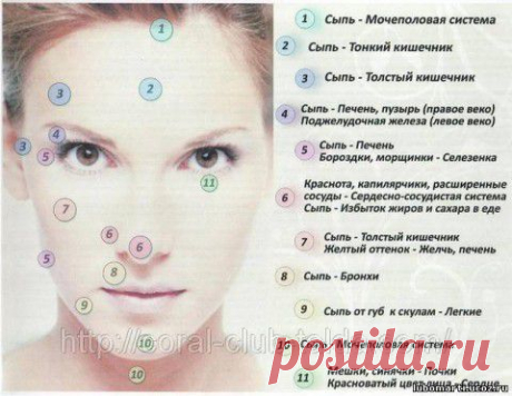 В. Востоков ДИАГНОСТИКА ПО ЛИЦУ | Эксклюзив