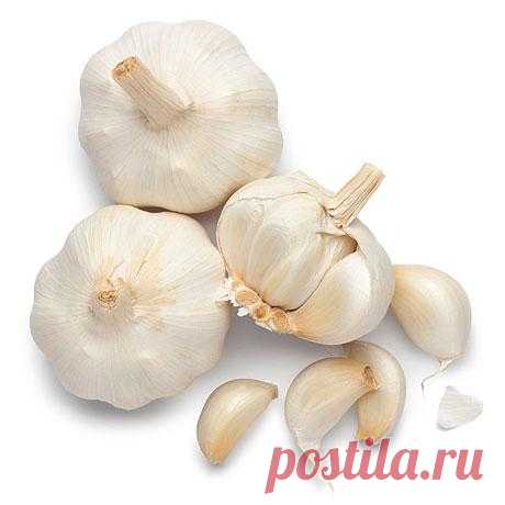 Чесночная настойка: http://buduvforme.mirtesen.ru/blog/43388446999