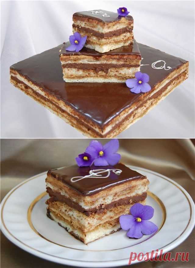 Торт Опера от Gaston Lenôtre. Рецепт c фото от natali2896 4 октября 2011 на koolinar.ru