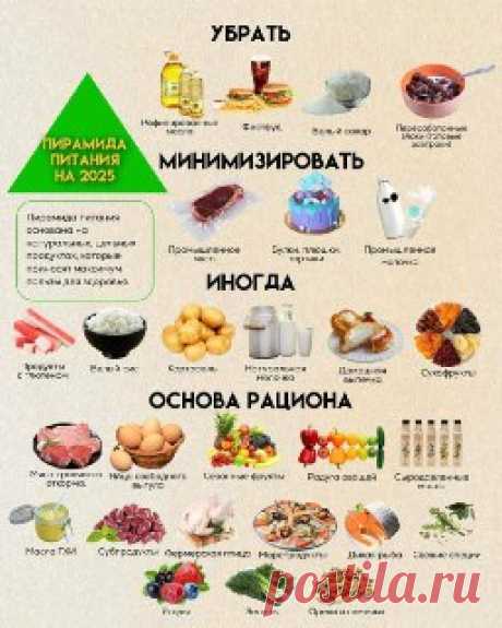 ЯжеХозяйка Пирамида питания, которая актуальна в 2025 году 👍🏼
